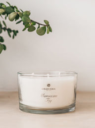 Trend-ing Charisma 3 wick candle with a green branch hanging above it