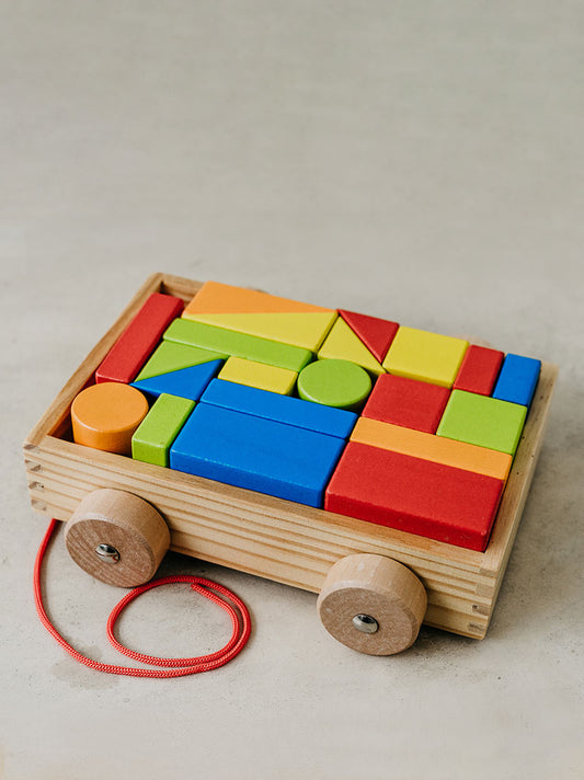 Trend-ing Baby's building blocks on wheels colurful geometric game in a pull trolley