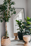 Trend-ings Oversized steel mirror with plants and decor next to it